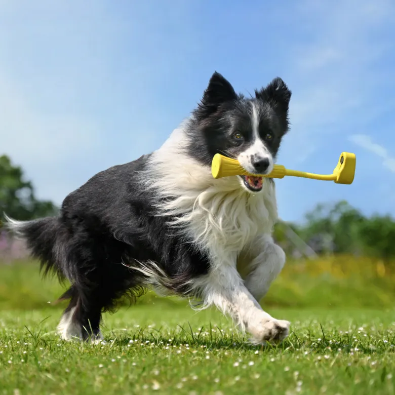 Insta360 GO 3 Series - Fetch Stick