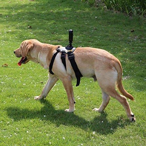 Insta360 Accessory - Pet Bundle